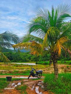 Swiss Bonihouse Koh Yao Yai - 5