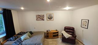 One room apartment near Arena Riga - 4