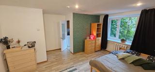 One room apartment near Arena Riga - 2