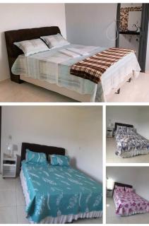 Pedacinho da Amazonia - 4