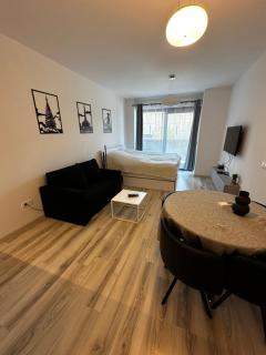 TEHELKO smart and cozy apartment - 9