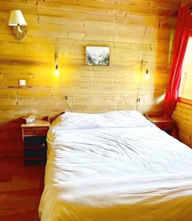 Entire top floor residence 20m ski slopes view ski - 1