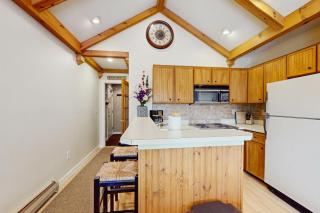 17A Mountain Village #241 - 1