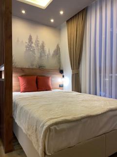 Evergreen Lux - 8