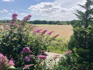 Holiday Home Thessa - 4km from the sea by Interhome - Fåborg - 9