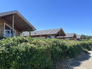 Holiday Home Olina - 10m from the sea by Interhome - 8