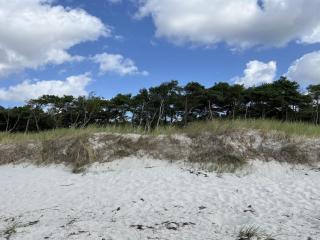 Holiday Home Sonya - 350m from the sea by Interhome - 3