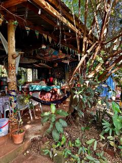 Jinja Jungle Glamping Tent 2025 - 9