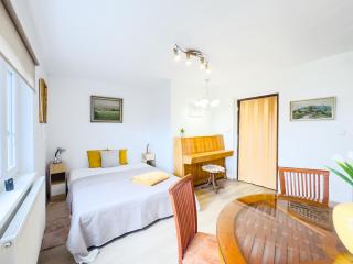 Apartmán u Rádi - Desná v Jizerských horách - 1