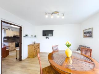 Apartmán u Rádi - Desná v Jizerských horách - 9
