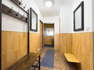 Apartmán u Rádi - Desná v Jizerských horách - 2