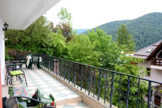Casa Ana - Sinaia - 2
