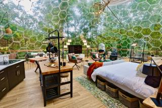 1 of a kind! Largest Transparent Luxe Dome in USA! - 0