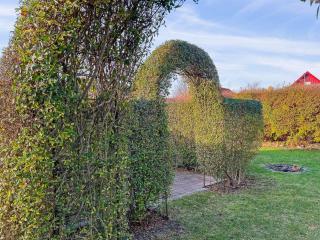 Apartment Annvy - 1km from the sea by Interhome - 6