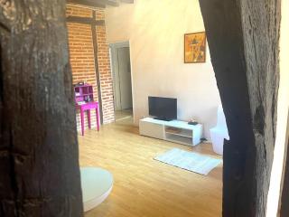 Le Castelviel - Albi - 4