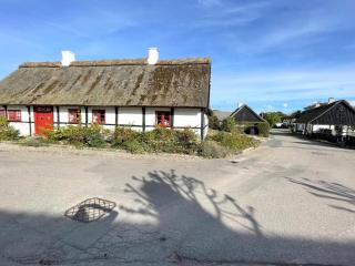 Holiday Home Hjalmine - 225m from the sea by Interhome - 8