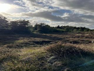 Holiday Home Ibbe - 3-5km from the sea by Interhome - 5