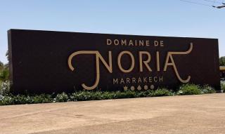 Cozy appartement à noria golf - 3