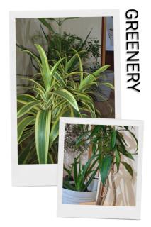 Shri Ramesht Paying Guest House, Ayodhya Dham, India - 2