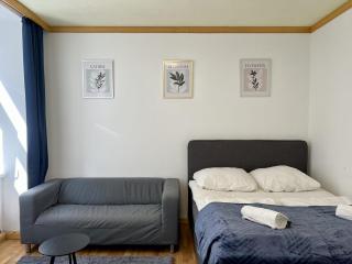 Big Space Apartment - 9