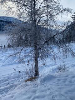 Family house in Hemsedal - 5