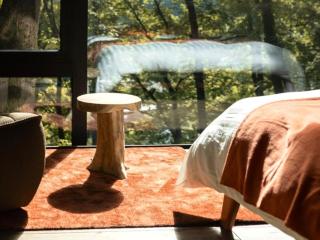 Cabane dans les arbres - 9
