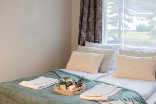 Northern Lights Kota Stay By BookLapland - 3