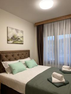 Apartman Kristal, Vrnjačka Banja - 9