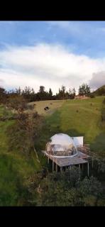 GLAMPiNG AMOR AMOR GUATAVITA - 8