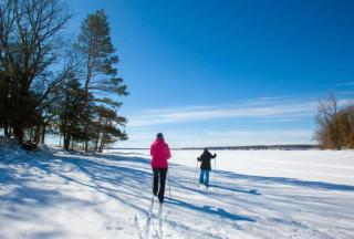 Pet-Friendly Large 3-Bedroom - Bobcaygeon - 6