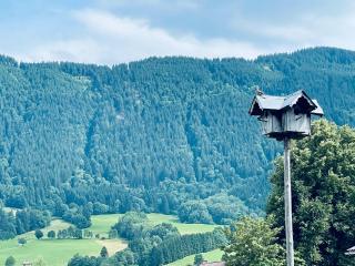 Traumblick bis 8 Gäste und schlossnah - 1