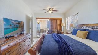 Sonoran Sea - 7