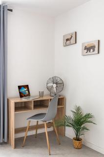 Appartement sous combles - vieille batisse proche centre ville - 1