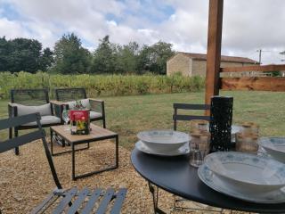 Cabane Feuille - Glamping on a vineyard - Wooden Cabin - 1