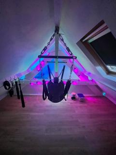 La Maison Du Plaisir Loveroom Pontorson - 7