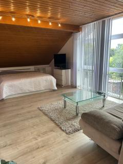 Furnished Apartment with kitchen and bathroom near Erlangen - 7