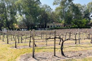 Pont de Val Studio Apartment - 8