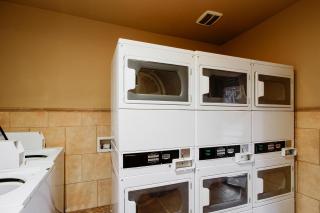 OYO Pinewood Inn & Suites Silsbee - 5