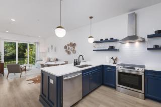 Sleeps 20 Three Condos Side by Side 10 minutes to Broadway - 1