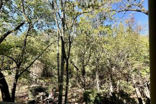 The Entire Lotus House Downtown - 8