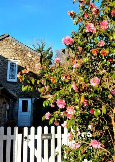 Cute Cornish Cottage - 0
