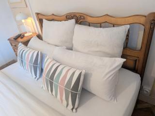 Appartement Douceur Saumur Centre à 5 min à pied - 8
