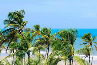 Wai Wai #H308 - Praia do Cumbuco por Carpediem - 5