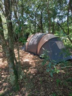 Dargle campsite - 0