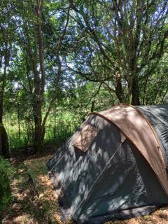 Dargle campsite - 8