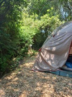 Dargle campsite - 4