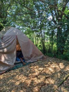 Dargle campsite - 2