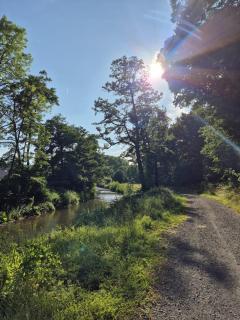 Waldoase im Nationalpark Eifel für 7 Gäste und max 2 Hunde in 1A Lage - 9