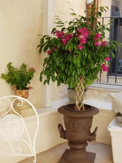 Ortigia SÈFER - 2
