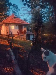 Šumarak - - 6